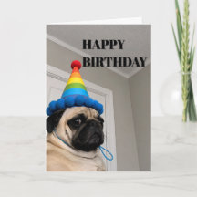 Pug Mal-Humorado Usando Chapéu de Aniversário Arco