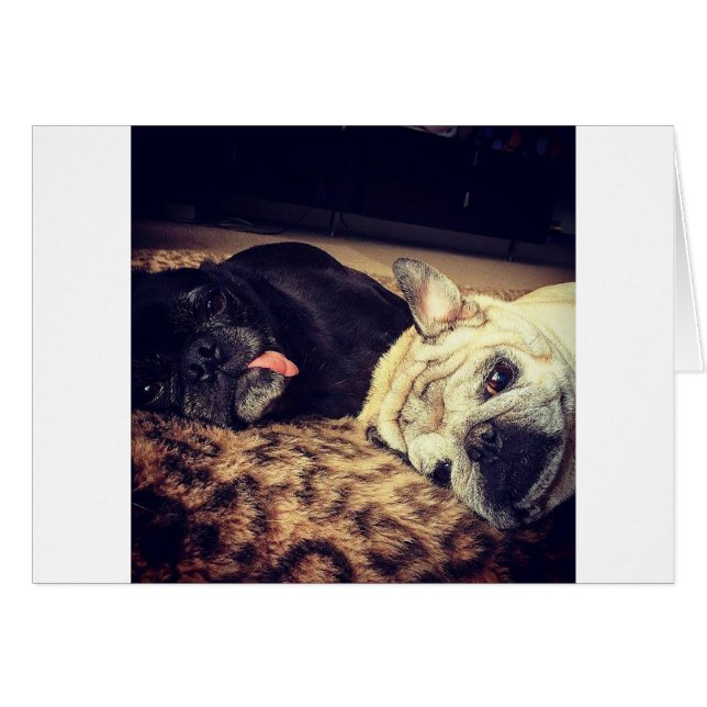 Cartão Pug Nap (Frente Horizontal)