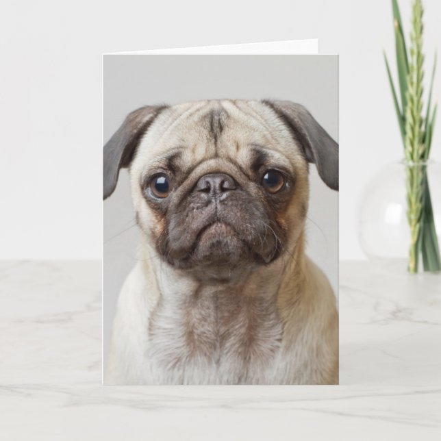 Cartão Pug Portrait (Frente)