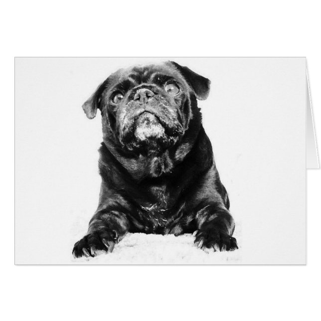 Cartão Pug - Preto PUG Preto e Branco (Frente Horizontal)