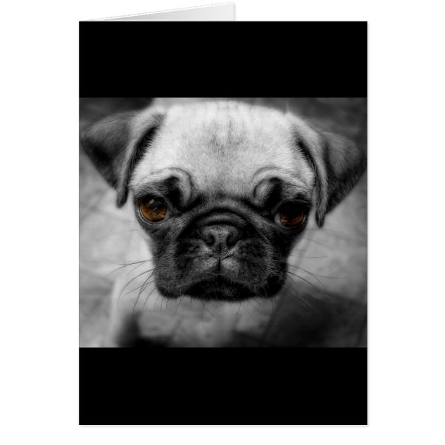 Cartão Pug Pup (Frente)