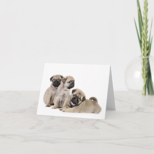 Cartão Pug Puppy Card (Frente)