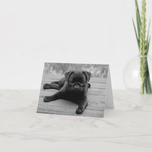 Cartão Pug Puppy Dog Black & White Blank  Note Card