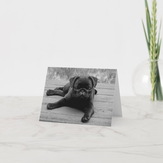 Cartão Pug Puppy Dog Black & White Blank  Note Card (Frente)