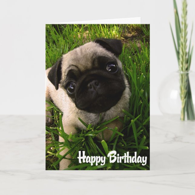 Cartão Pug Puppy Dog  Happy Birthday Card - Verse inside (Frente)