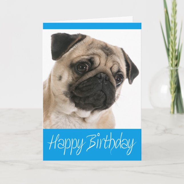 Cartão Pug Puppy Dog  Happy Birthday Card - Verse inside (Frente)