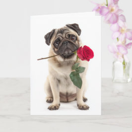 Cartão Pug Valentine