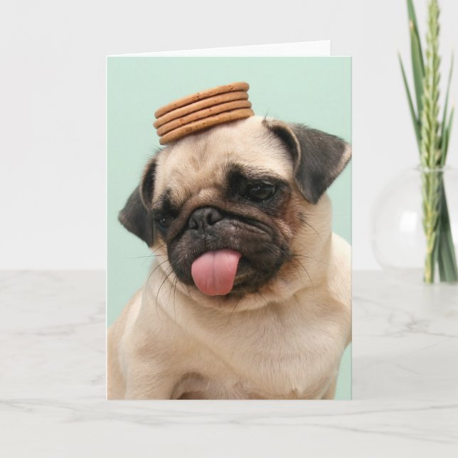 Cartão Pug Wants Treats (Frente)