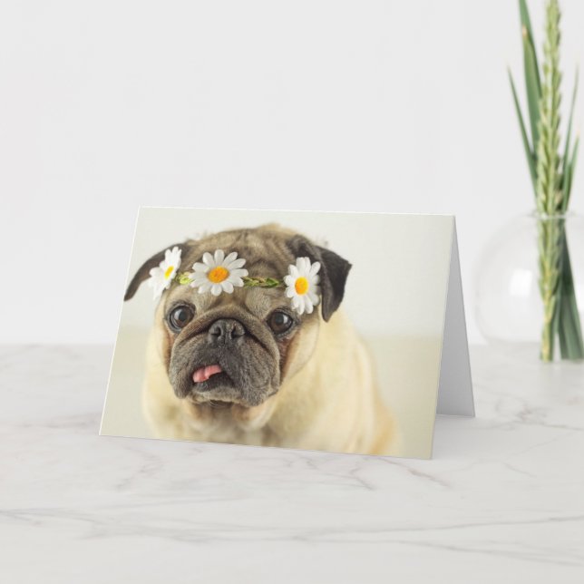 Cartão Pug with Daisy Crown (Frente)