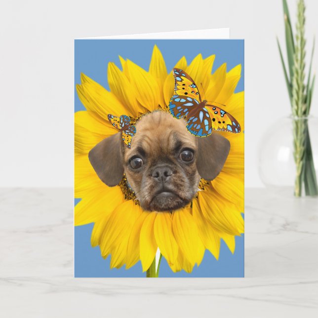 Cartão Puggle Face In A Daisy Cards (Frente)