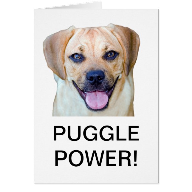 Cartão Puggle Power! (Frente)