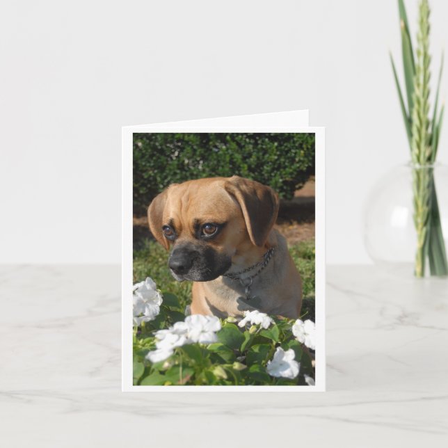 Cartão Puggles (Frente)