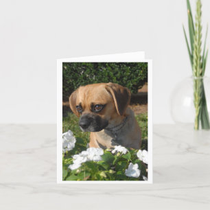 Cartão Puggles