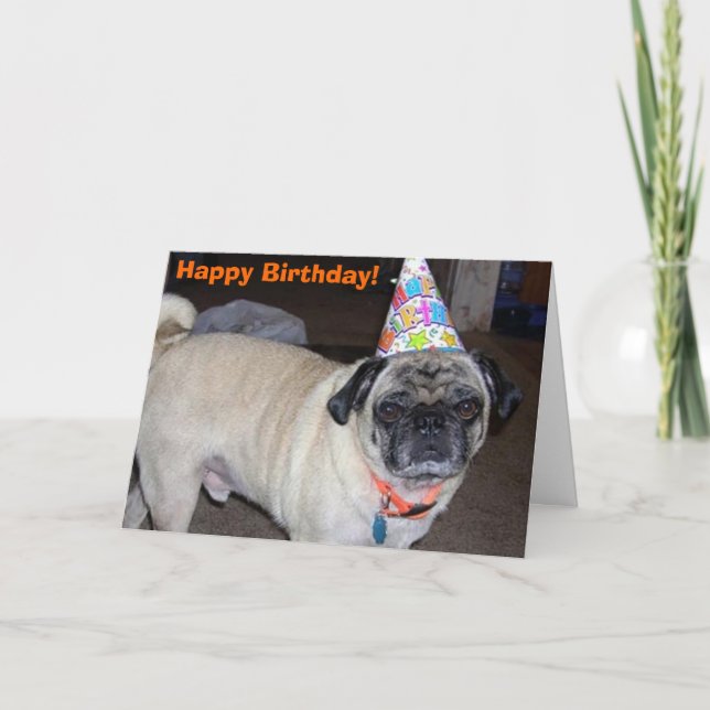Cartão Puggy Greetings: Birthday (Frente)