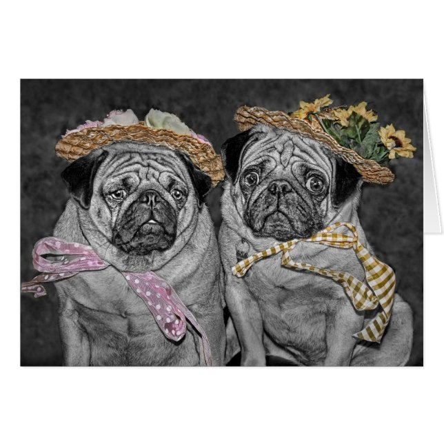 Cartão Pugs nas capotas (Frente Horizontal)