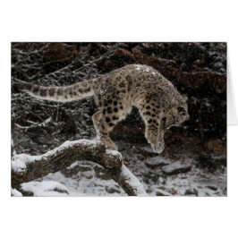 Cartão Pulseira de Leopardo de Neve