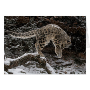 Cartão Pulseira de Leopardo de Neve