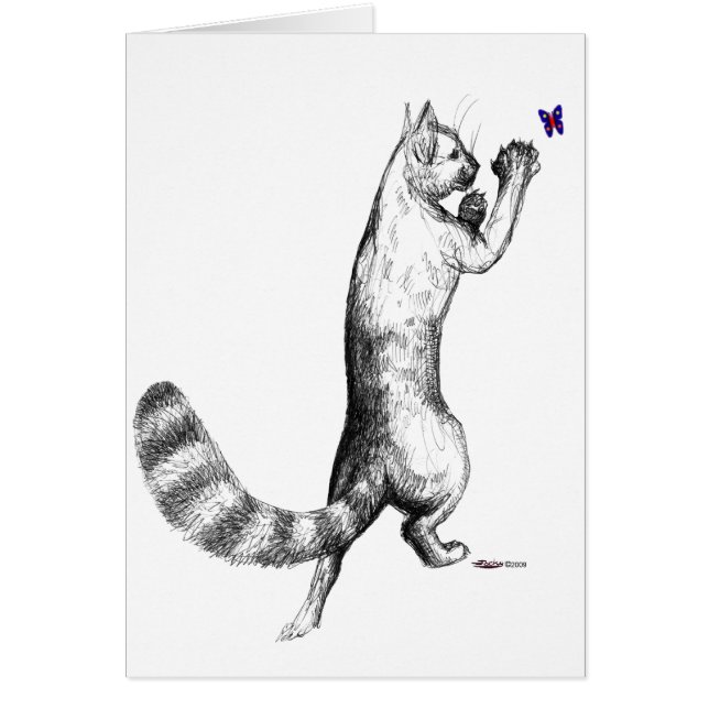 Cartão Pulverização de Gatos (Frente)