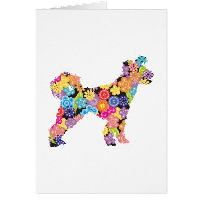 Cartão Pumi (Frente)