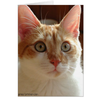 Cartão Pumperníquel