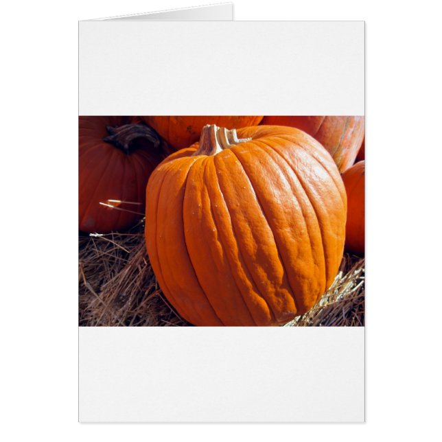 Cartão Pumpkin Laranja (Frente)