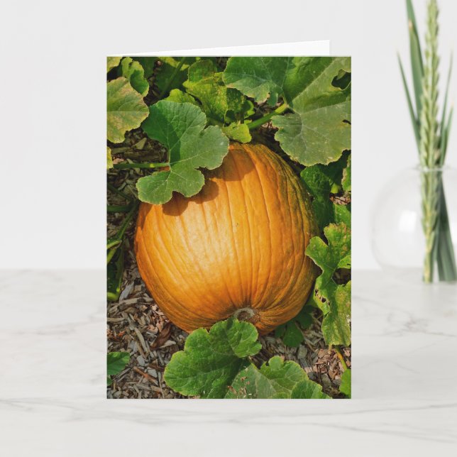 Cartão Pumpkin Patch (Frente)