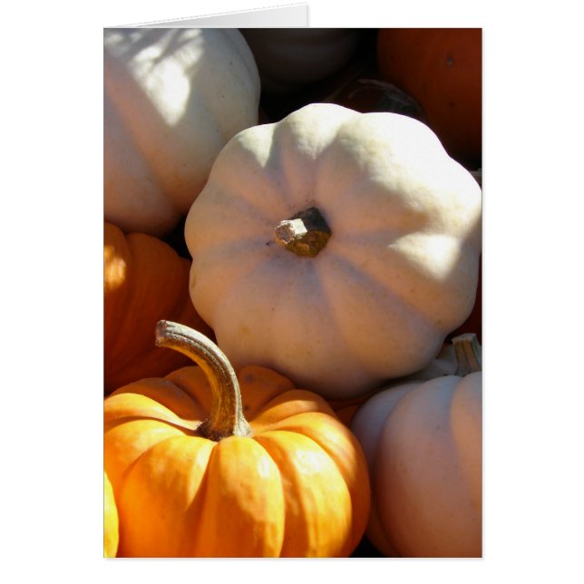 Cartão Pumpkin Pile (Frente)