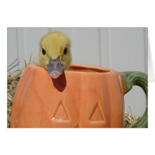 Cartão Pumpkin Spice