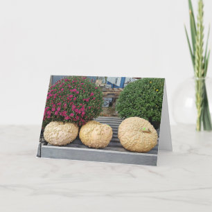 Cartão Pumpkins and Mums Autumn Blessings