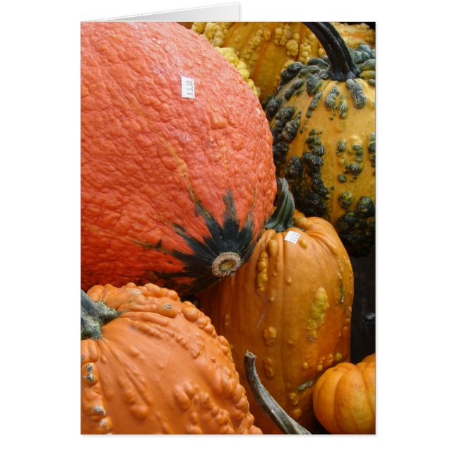 Cartão Pumpkins e Squash (Frente)