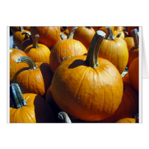 Cartão Pumpkins Laranja