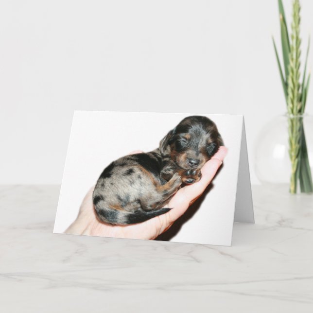 Cartão Punhado (Frente)