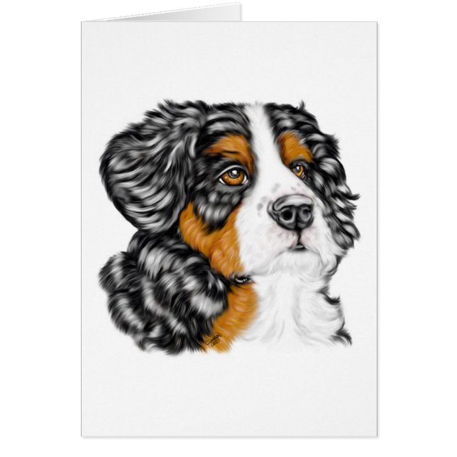 Cartão Pup de Cachorro da Montanha Bernese (Frente)