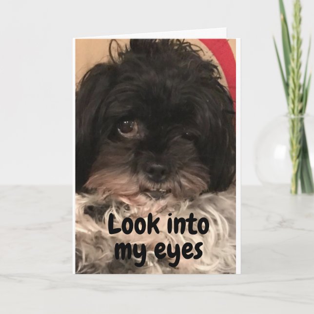 CARTÃO PUP DIZ "FELIZ ANIVERSÁRIO" PARA VOCÊ! (Frente)