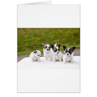 Cartão puppies-453532.jpg