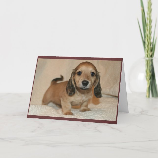 Cartão Puppy (Frente)