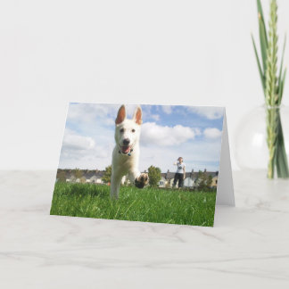 Cartão Puppy at Play Greeting Card