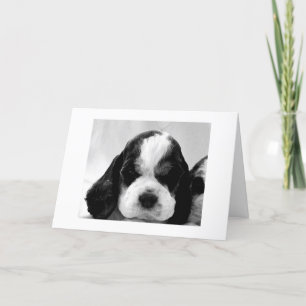 Cartão PUPPY DIZ "DIGA QUE NÃO É" aniversário de 30 an