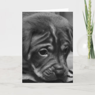 Cartão Puppy Face Blank Greeting Card