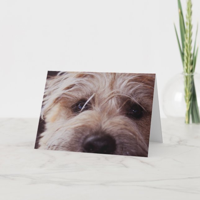 Cartão Puppy face close up card (Frente)