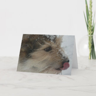 Cartão Puppy in the Snow