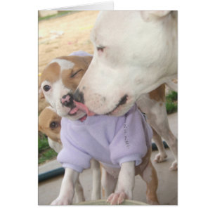 Cartão Puppy Love