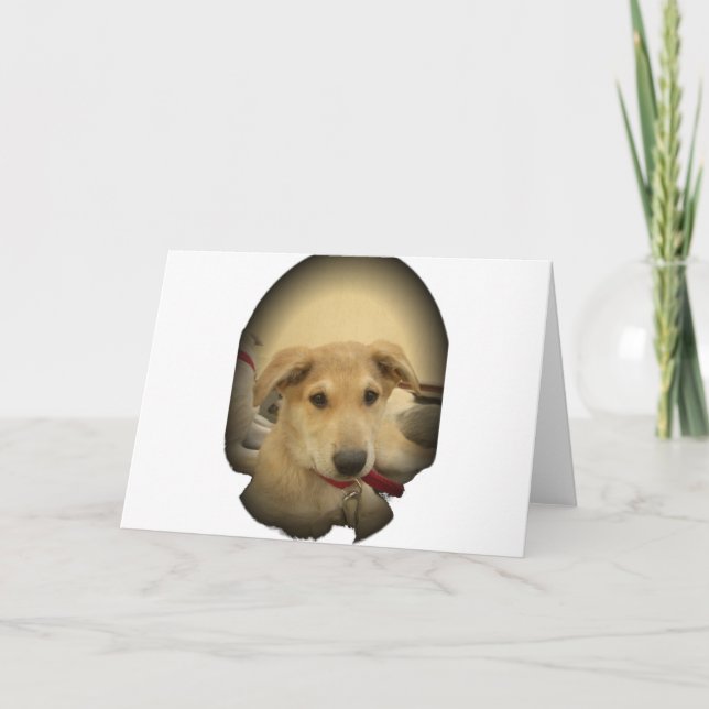 Cartão Puppy Love: Melhor Amigo do Homem (Frente)