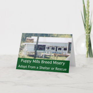 Cartão Puppy Mills Breed Misery Card