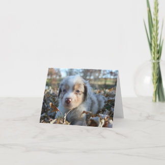 Cartão Puppy Note Card