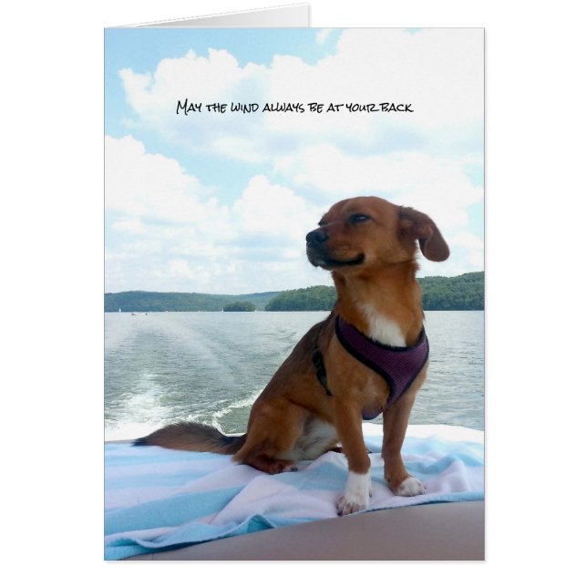 Cartão Puppy on Boat Wind em Sentidos Traseiros (Frente)