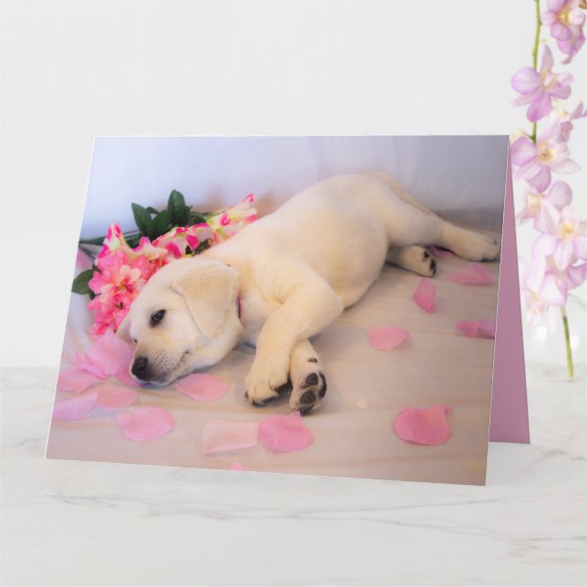 Cartão Puppy Sleep Flor 01 (Orquídea)