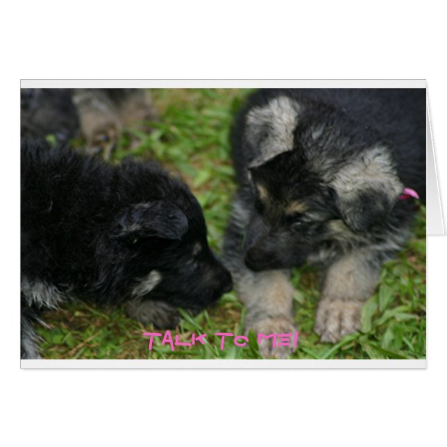 Cartão Pups (Frente Horizontal)