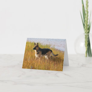 Cartão Pure Bred German Shepherd Photo on Note Card