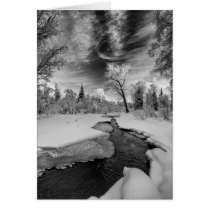 Cartão Pure Campbell Creek